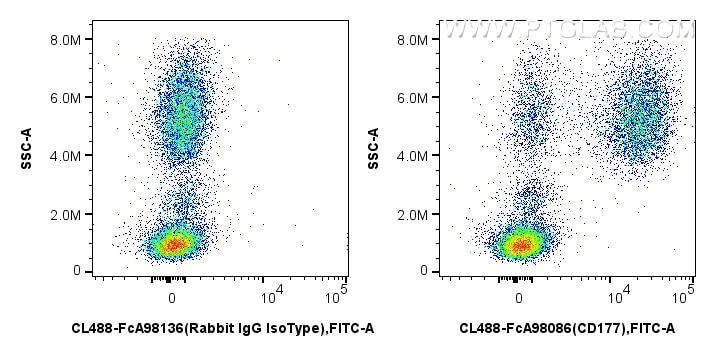 FC experiment of human peripheral blood leukocyte using CL488-FcA98086 Flow cytometry (FC) experiment of human peripheral blood leukocyte using FcZero-rAb® CoraLite® Plus 488 Anti-Human CD177 Ra (CL488-FcA98086)
