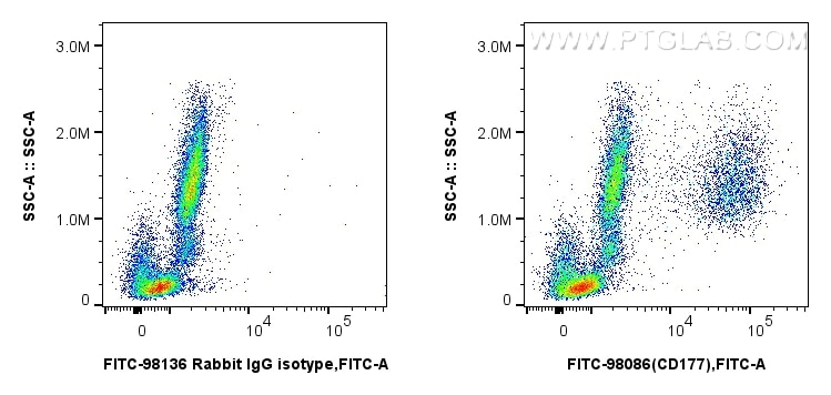 Flow cytometry (FC) experiment of human peripheral blood leukocytes using FITC Plus Anti-Human CD177 Rabbit Recombinant Anti (FITC-98086)