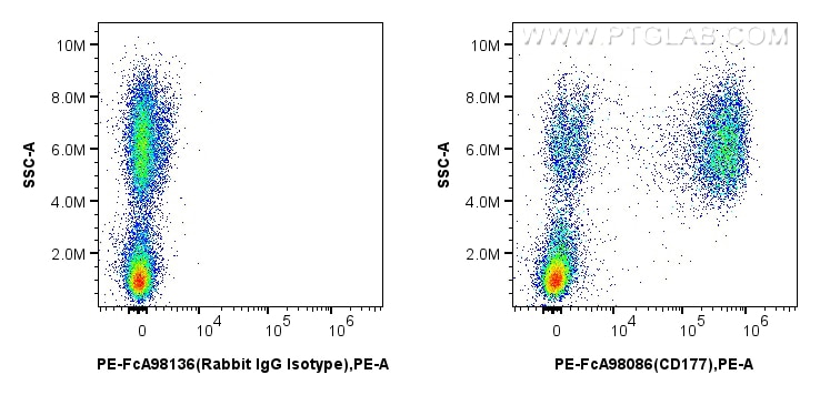 Flow cytometry (FC) experiment of human peripheral blood leukocyte using FcZero-rAb™ PE Anti-Human CD177 Rabbit Recombinant (PE-FcA98086)