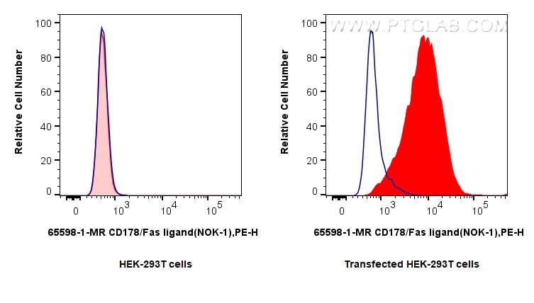Flow cytometry (FC) experiment of Transfected HEK-293T cells using Anti-Human CD178 (Fas ligand) (NOK-1) Mouse IgG2a  (65598-1-MR)