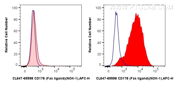 1x10^6 HEK-293T cells (left) or CD178 transfected HEK-293T cells (right) were surface stained with 0.25 ug CoraLite® Plus 647 Anti-Human CD178 (Fas ligand) (NOK-1) Mouse IgG2a RecAb (CL647-65598, Clone: NOK-1) (red) or 0.25 ug CoraLite® Plus 647 Mouse IgG2a Isotype Control (C1.18.4) (CL647-65208, Clone: C1.18.4) (blue). Cells were not fixed. Flow cytometry (FC) experiment of Transfected HEK-293T cells using CoraLite® Plus 647 Anti-Human CD178 (Fas ligand) ( (CL647-65598)