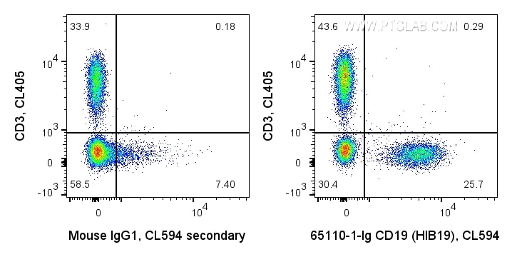 FC experiment of human PBMCs using 65110-1-Ig