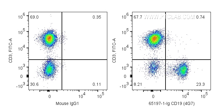 Flow cytometry (FC) experiment of human PBMCs using Anti-Human CD19 (4G7) (65197-1-Ig)