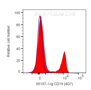 FC experiment of human PBMCs using 65197-1-Ig