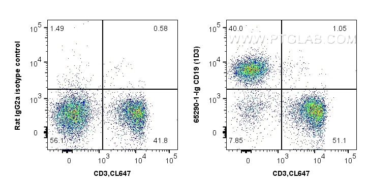 Flow cytometry (FC) experiment of C57BL/6 mouse splenocytes using Anti-Mouse CD19 (1D3) (65290-1-Ig)