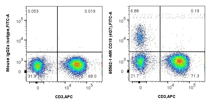 Flow cytometry (FC) experiment of human PBMCs using Anti-Human CD19 (4G7) Mouse Recombinant Antibody (65562-1-MR)