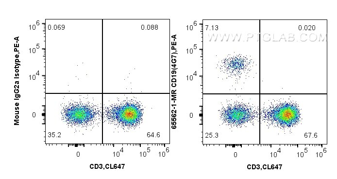 Flow cytometry (FC) experiment of human PBMCs using Anti-Human CD19 (4G7) Mouse IgG2a Recombinant Anti (65562-1-MR)