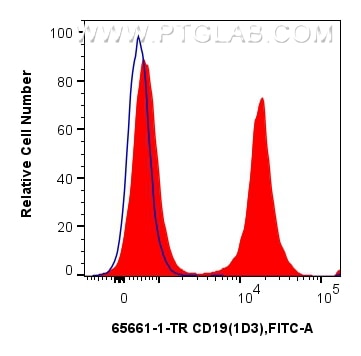 1x10^6 mouse splenocytes were surface stained with 0.5 ug Anti-Mouse CD19 (1D3) Rat IgG2a RecAb (65661-1-TR, Clone: 1D3) (red) or Rat IgG2a Isotype Control (2A3) (65209-1-Ig, Clone: 2A3) (blue), and FITC anti-Rat IgG2a antibody. Cells were not fixed. Flow cytometry (FC) experiment of mouse splenocytes using Anti-Mouse CD19 (1D3) Rat IgG2a Recombinant Antibo (65661-1-TR)