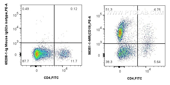 Flow cytometry (FC) experiment of rabbit splenocytes cells using Anti-Rabbit CD19 Mouse Recombinant Antibody (98351-1-MR)