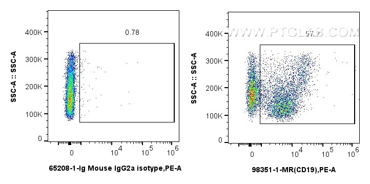 Flow cytometry (FC) experiment of rabbit splenocytes cells using Anti-Rabbit CD19 Mouse Recombinant Antibody (98351-1-MR)