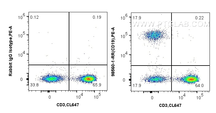 1x10^6 human PBMCs were surface stained with 0.25 ug Anti-Human CD19 Rabbit RecAb (98560-1-RR, Clone: 250499A2) or Rabbit IgG Isotype Control RecAb (98136-1-RR, Clone: 240953C9), and PE-Conjugated Goat Anti-Rabbit IgG(H+L). Cells were then stained with CoraLite® Plus 647 Anti-Human CD3. Cells were not fixed. Lymphocytes were gated. Flow cytometry (FC) experiment of human PBMCs using Anti-Human CD19 Rabbit Recombinant Antibody (98560-1-RR)