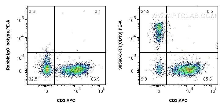 Flow cytometry (FC) experiment of Cyno PBMCs using Anti-Human CD19 Rabbit Recombinant Antibody (98560-3-RR)