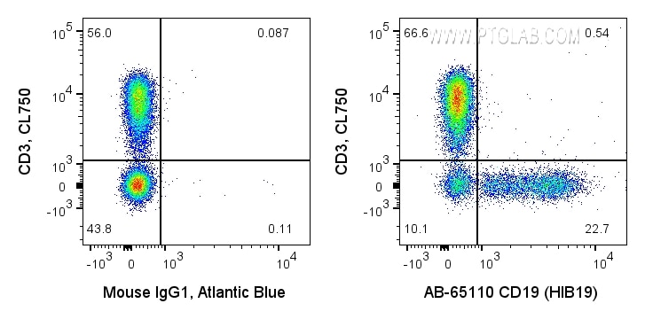 Flow cytometry (FC) experiment of human PBMCs using Atlantic Blue™ Anti-Human CD19 (HIB19) (AB-65110)