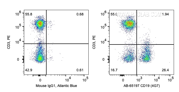 Flow cytometry (FC) experiment of human PBMCs using Atlantic Blue™ Anti-Human CD19 (4G7) (AB-65197)