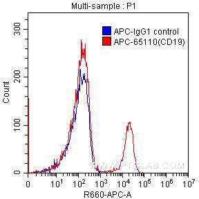 CD19