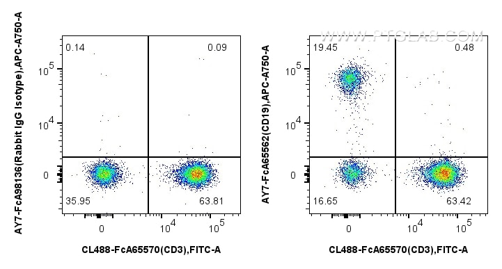 Flow cytometry (FC) experiment of human PBMCs using FcZero-rAb™ APC-Cyanine7 Anti-Human CD19 (4G7) Rab (AY7-FcA65562)