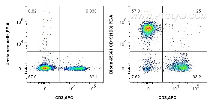 FC experiment of mouse splenocytes using Biotin-65661 Flow cytometry (FC) experiment of mouse splenocytes using Biotin Anti-Mouse CD19 (1D3) Rat IgG2a Recombinant (Biotin-65661)