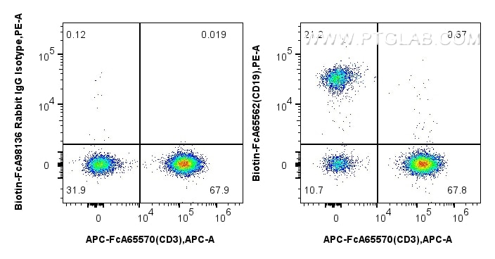 1x10^6 human PBMCs were surface stained with 0.25 ug Biotin Anti-Human CD19 (4G7) Rabbit IgG RecAb (Biotin-FcA65562, Clone: 4G7) or FcZero-rAb™ Biotin Rabbit IgG Isotype Control Recombinant Antibody (Biotin-FcA98136, Clone: 240953C9), and Streptavidin-PE Conjugate (PE-PF00030). Cells were co-stained with FcZero-rAb™ APC Anti-Human CD3 (UCHT1) Rabbit IgG Recombinant Antibody (APC-FcA65570, Clone: UCHT1). Cells were not fixed. Flow cytometry (FC) experiment of human PBMCs using FcZero-rAb™ Biotin Anti-Human CD19 (4G7) Rabbit Ig (Biotin-FcA65562)