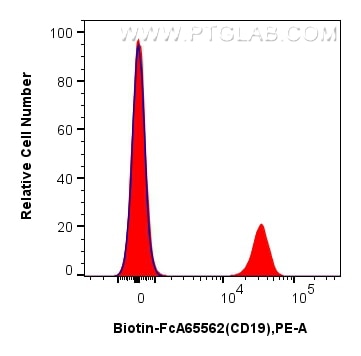 1x10^6 human PBMCs were surface stained with 0.25 ug Biotin Anti-Human CD19 (4G7) Rabbit IgG RecAb (Biotin-FcA65562, Clone: 4G7) (red) or FcZero-rAb™ Biotin Rabbit IgG Isotype Control Recombinant Antibody (Biotin-FcA98136, Clone: 240953C9) (blue), and Streptavidin-PE Conjugate (PE-PF00030). Cells were not fixed. Flow cytometry (FC) experiment of human PBMCs using FcZero-rAb™ Biotin Anti-Human CD19 (4G7) Rabbit Ig (Biotin-FcA65562)