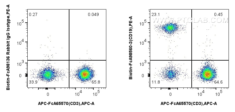 Flow cytometry (FC) experiment of human PBMCs using Biotin Anti-Human CD19 Rabbit Recombinant Antibody (Biotin-FcA98560-3)