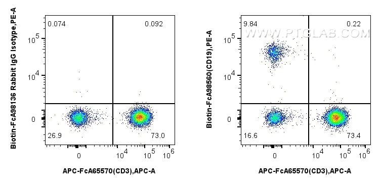 Flow cytometry (FC) experiment of human PBMCs using FcZero-rAb® Biotin Anti-Human CD19 Rabbit Recombin (Biotin-FcA98560)
