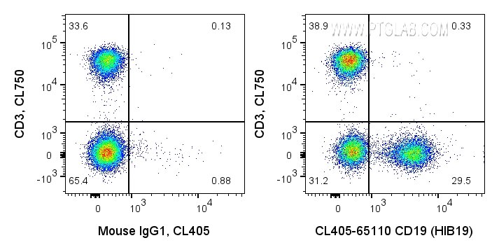 Flow cytometry (FC) experiment of human PBMCs using CoraLite® Plus 405 Anti-Human CD19 (HIB19) (CL405-65110)