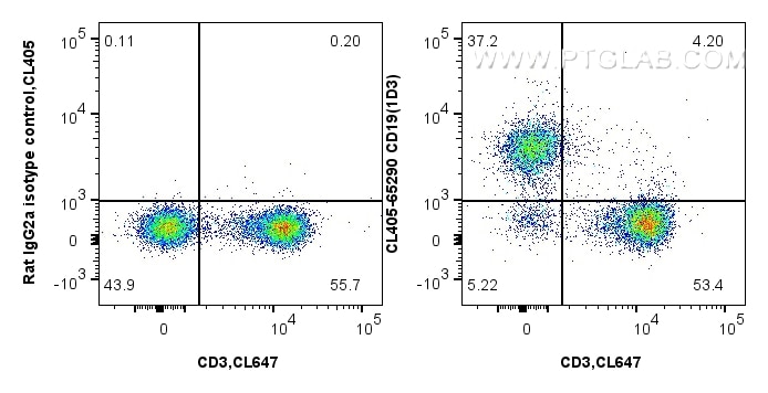 Flow cytometry (FC) experiment of mouse splenocytes using CoraLite® Plus 405 Anti-Mouse CD19 (1D3) (CL405-65290)