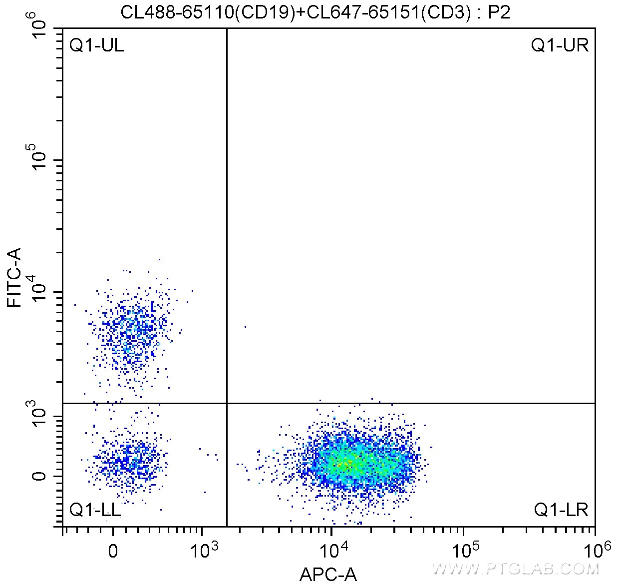 Flow cytometry (FC) experiment of human peripheral blood lymphocytes using CoraLite® Plus 488 Anti-Human CD19 (HIB19) (CL488-65110)