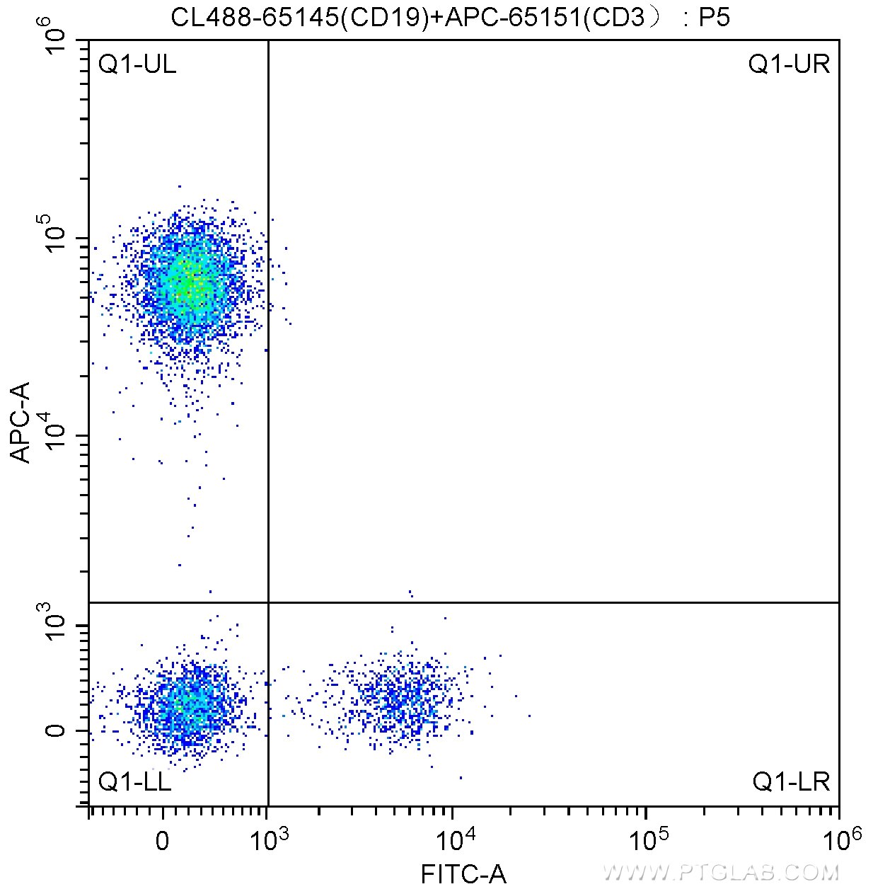 Flow cytometry (FC) experiment of human peripheral blood lymphocytes using CoraLite® Plus 488 Anti-Human CD19 (SJ25C1) (CL488-65145)