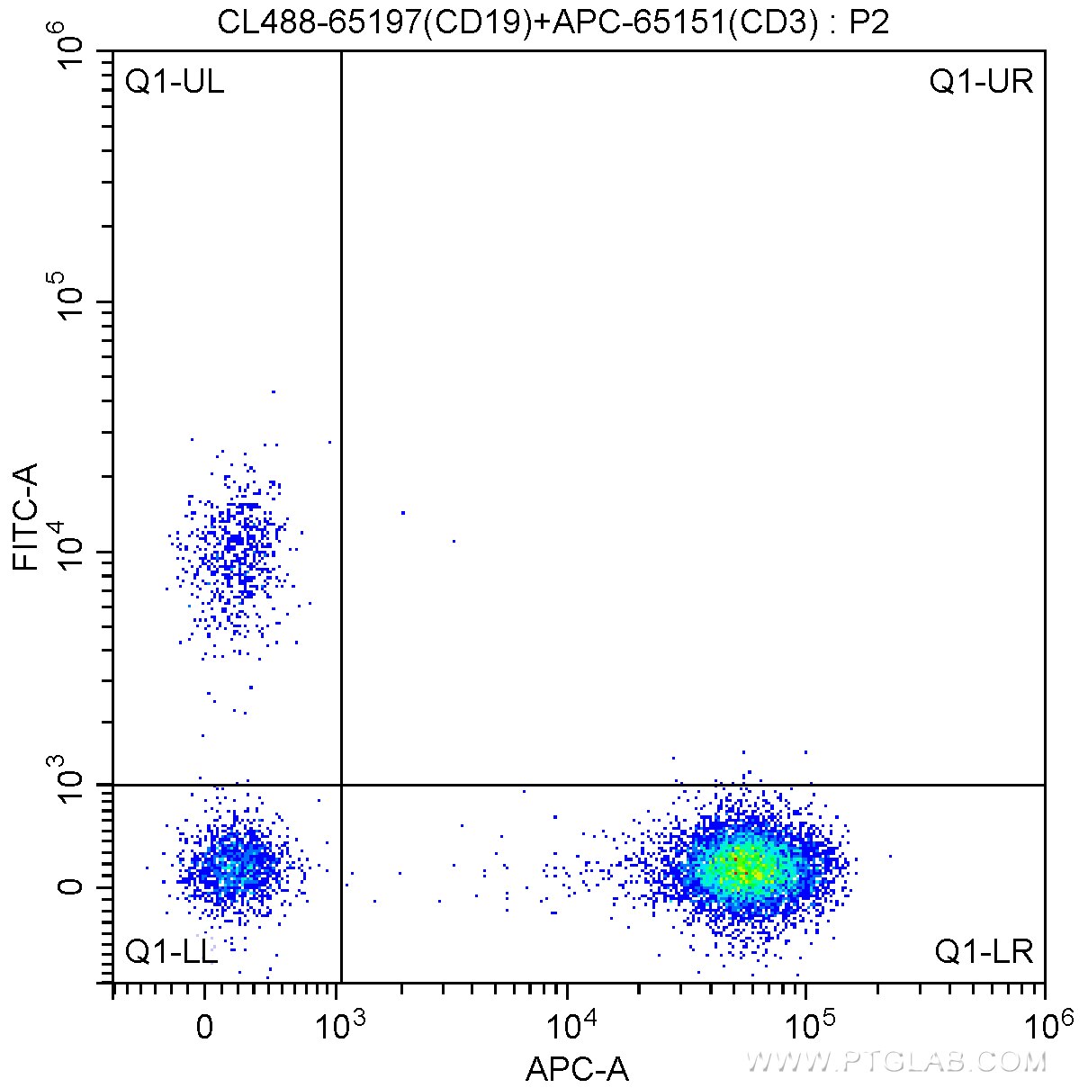 Flow cytometry (FC) experiment of human peripheral blood lymphocytes using CoraLite® Plus 488 Anti-Human CD19 (4G7) (CL488-65197)