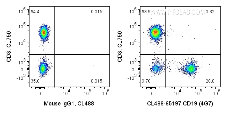 FC experiment of human PBMCs using CL488-65197