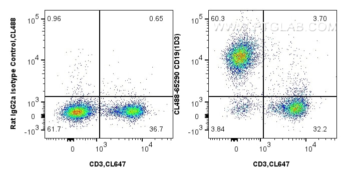 Flow cytometry (FC) experiment of mouse splenocytes using CoraLite® Plus 488 Anti-Mouse CD19 (1D3) (CL488-65290)