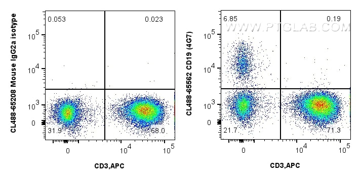 CD19