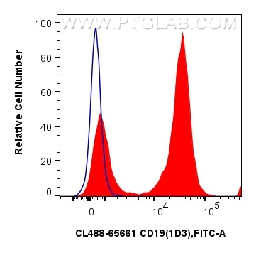 1x10^6 mouse splenocytes were surface stained with 0.25 ug CoraLite® Plus 488 Anti-Mouse CD19 (1D3) Rat IgG2a RecAb (CL488-65661, Clone:1D3)(red) or CoraLite® Plus 488 Rat IgG2a Isotype Control (2A3) (CL488-65209, Clone: 2A3) (blue). Cells were not fixed. Flow cytometry (FC) experiment of mouse splenocytes using CoraLite® Plus 488 Anti-Mouse CD19 (1D3) Rat IgG2a (CL488-65661)