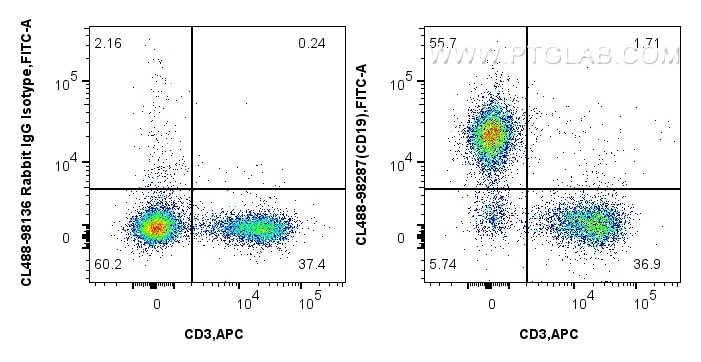 1x10^6 mouse splenocytes were surface stained with APC Anti-Mouse CD3, and 0.25 ug CoraLite® Plus 488 Anti-Mouse CD19 Rabbit RecAb (CL488-98287, Clone: 242301C6) or CoraLite® Plus 488 Rabbit IgG Isotype Control Recombinant Antibody (CL488-98136, Clone: 240953C9). Cells were not fixed. Flow cytometry (FC) experiment of mouse splenocytes using CoraLite® Plus 488 Anti-Mouse CD19 Rabbit Recombin (CL488-98287)