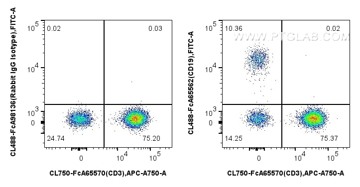 Flow cytometry (FC) experiment of human PBMCs using FcZero-rAb™ CoraLite® Plus 488 Anti-Human CD19 (4G (CL488-FcA65562)