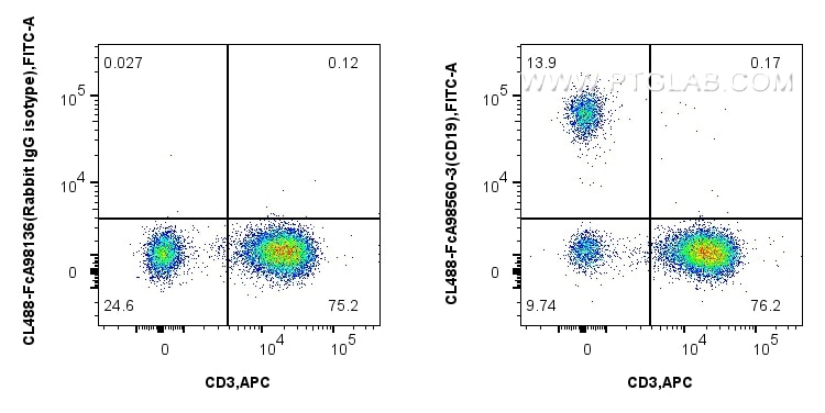 Flow cytometry (FC) experiment of human PBMCs using FcZero-rAb™ CoraLite® Plus 488 Anti-Human CD19 Rab (CL488-FcA98560-3)