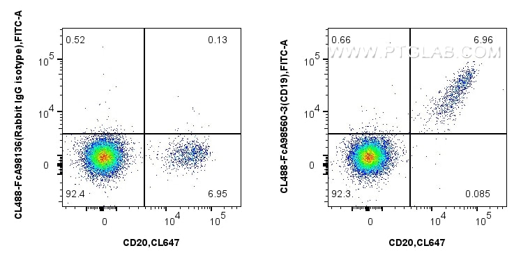 Flow cytometry (FC) experiment of Cnyo PBMCs using FcZero-rAb™ CoraLite® Plus 488 Anti-Human CD19 Rab (CL488-FcA98560-3)