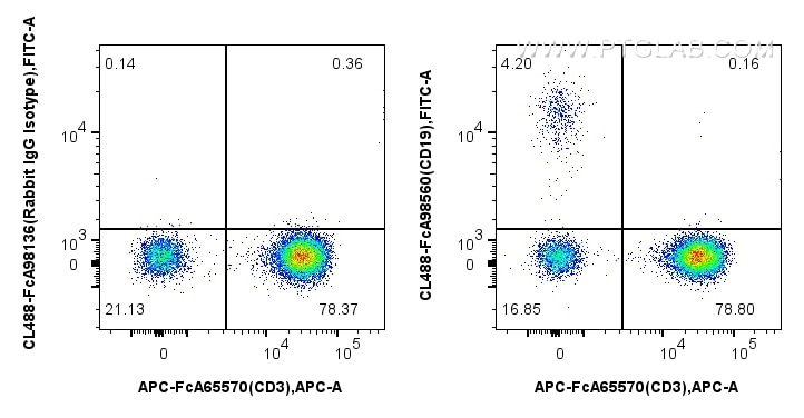 Flow cytometry (FC) experiment of human PBMCs using FcZero-rAb™ CoraLite® Plus 488 Anti-Human CD19 Rab (CL488-FcA98560)