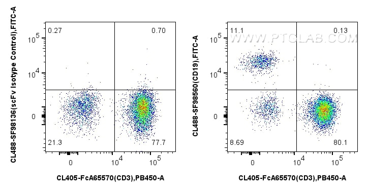 Flow cytometry (FC) experiment of human PBMCs using CoraLite® Plus 488 Anti-Human CD19 Rabbit scFv Ant (CL488-SF98560)