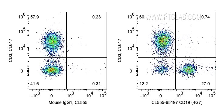 FC experiment of human PBMCs using CL555-65197