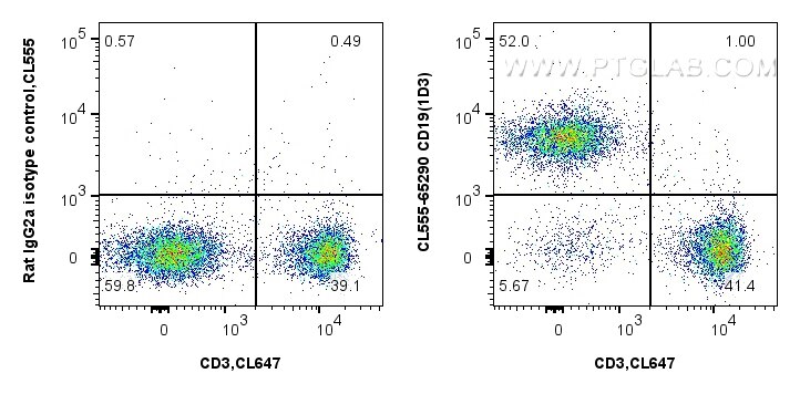 Flow cytometry (FC) experiment of C57BL/6 mouse splenocytes using CoraLite® Plus 555 Anti-Mouse CD19 (1D3) (CL555-65290)