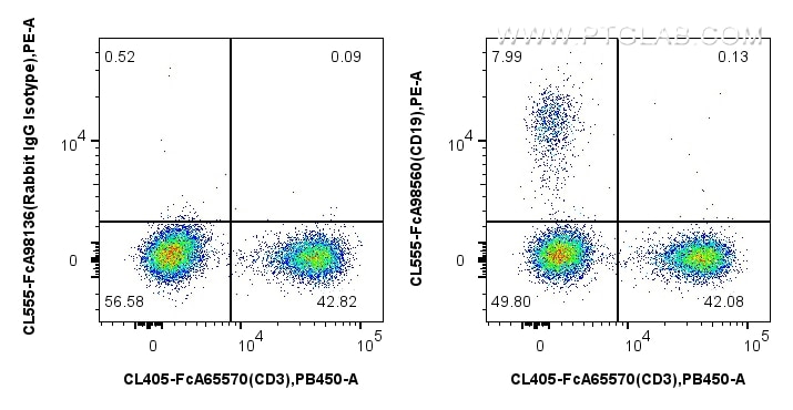 Flow cytometry (FC) experiment of human PBMCs using FcZero-rAb® CoraLite® Plus 555 Anti-Human CD19 Rab (CL555-FcA98560)