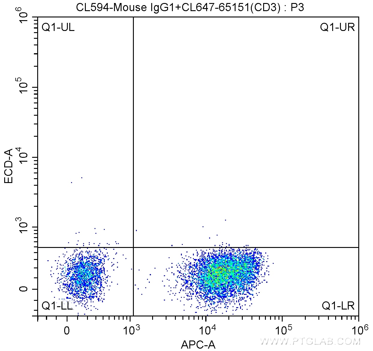 CD19