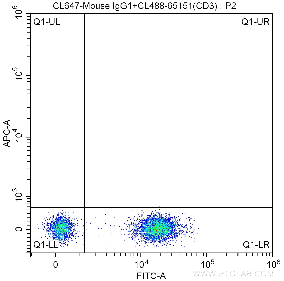 CD19