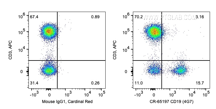 Flow cytometry (FC) experiment of human PBMCs using Cardinal Red™ Anti-Human CD19 (4G7) (CR-65197)