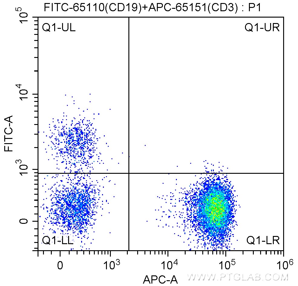 Flow cytometry (FC) experiment of human peripheral blood lymphocytes using FITC Anti-Human CD19 (HIB19) (FITC-65110)