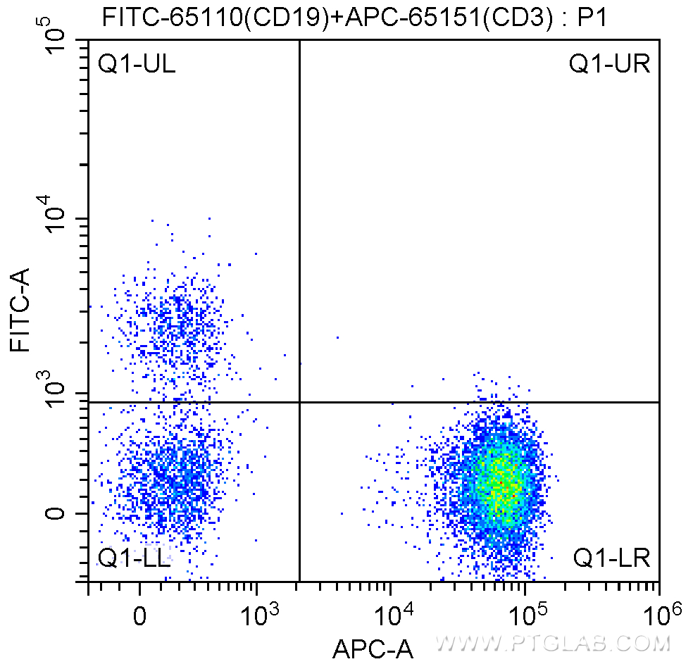 Flow cytometry (FC) experiment of human peripheral blood lymphocytes using FITC Anti-Human CD19 (HIB19) (FITC-65110)