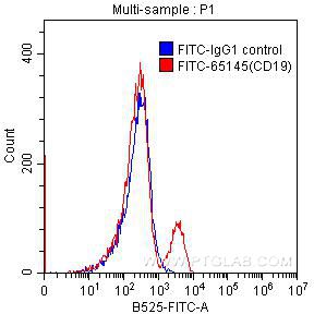 Flow cytometry (FC) experiment of human peripheral blood lymphocytes using FITC Anti-Human CD19 (SJ25C1) (FITC-65145)