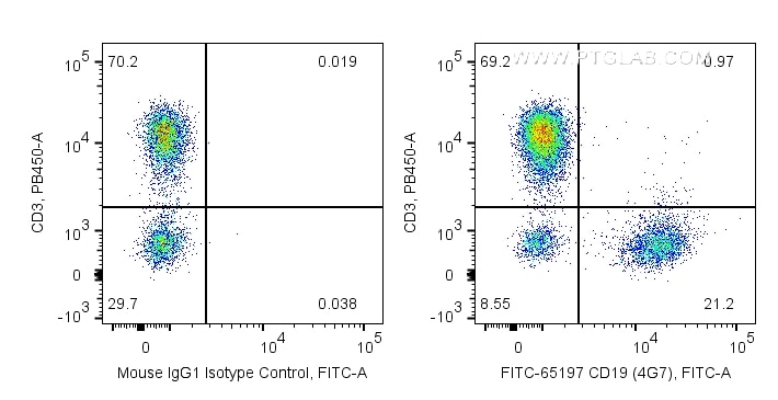 Flow cytometry (FC) experiment of human PBMCs using FITC Plus Anti-Human CD19 (4G7) (FITC-65197)